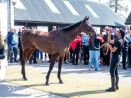 NH220326-27 - Thewoodcorner